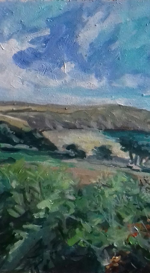 Coastal Path To Putsborough by Ann Kilroy