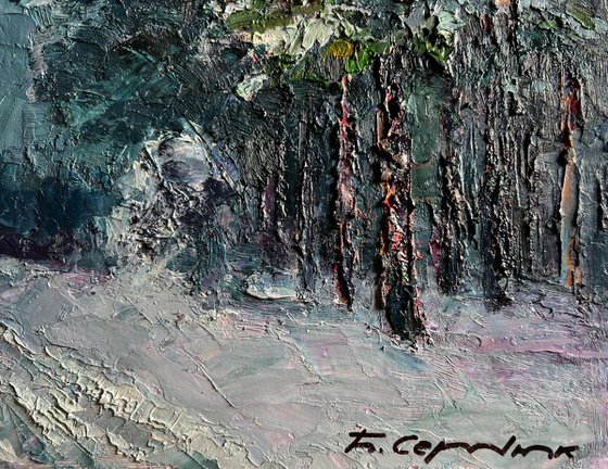 Winter Trail in the Forest