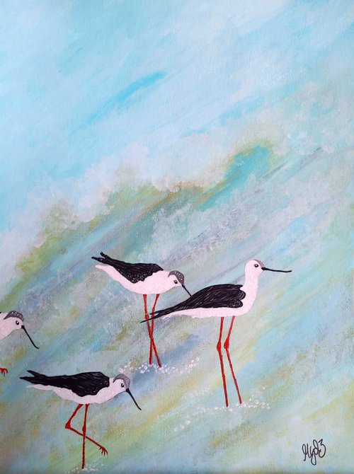 The Blackwinged Stilts by Monica Green