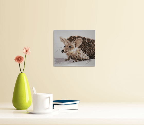 Hedgehog eared (Hemiechinus auritus)