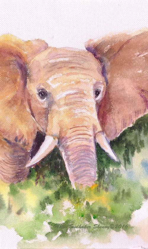 The King Elephant by Asha Shenoy