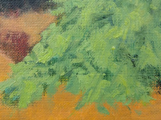 Wooden Bench in the Summer