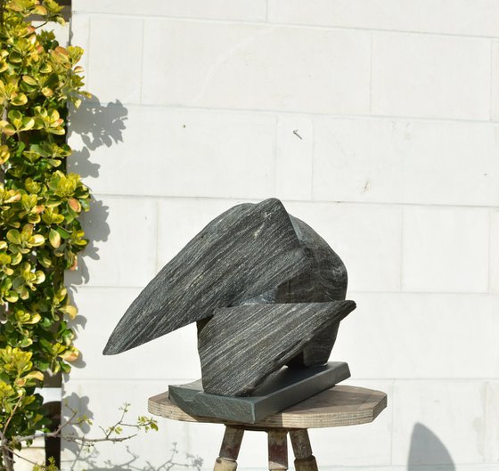 "Particular Insight"