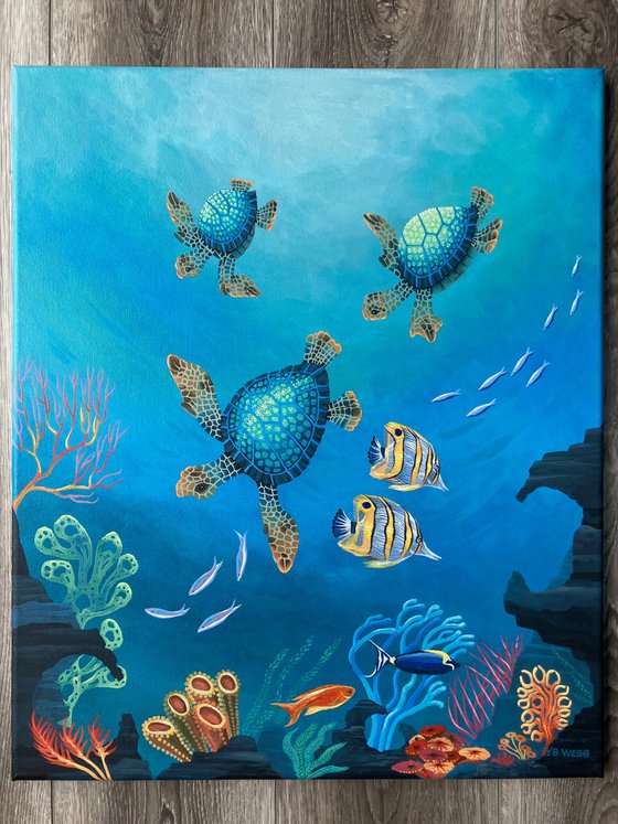 Ocean Turtles