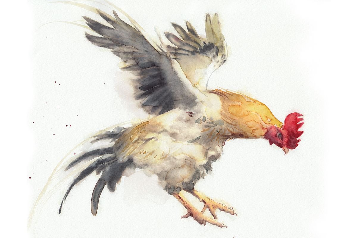 Flying Rooster by REME Jr.