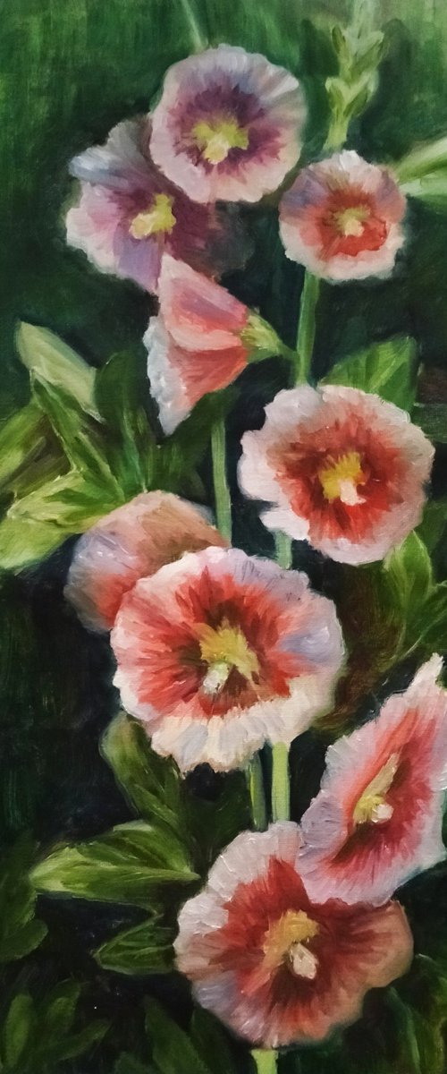 Malva Flowers by Olena Kucher