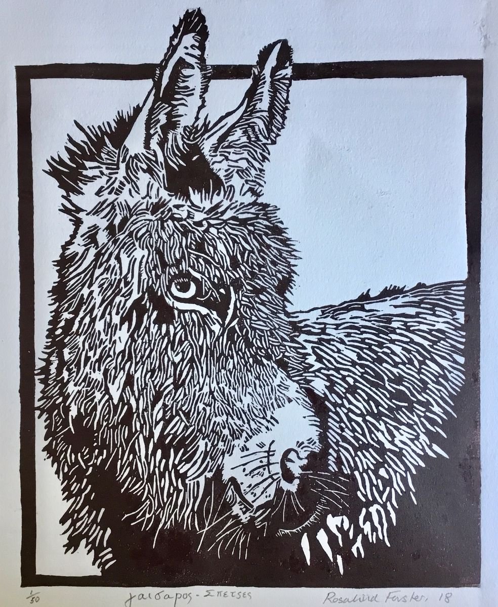 Donkey by Rosalind Forster