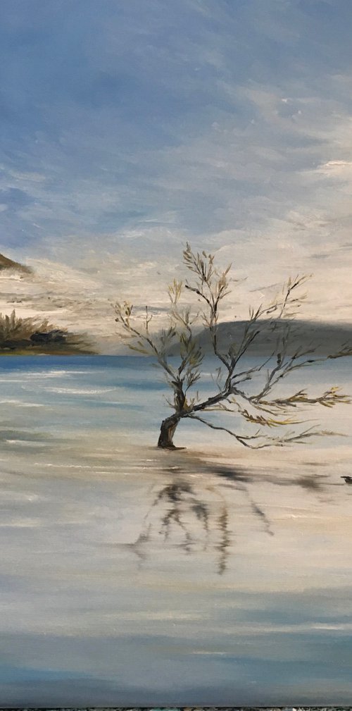 Floating Tree by Timea  Valsami