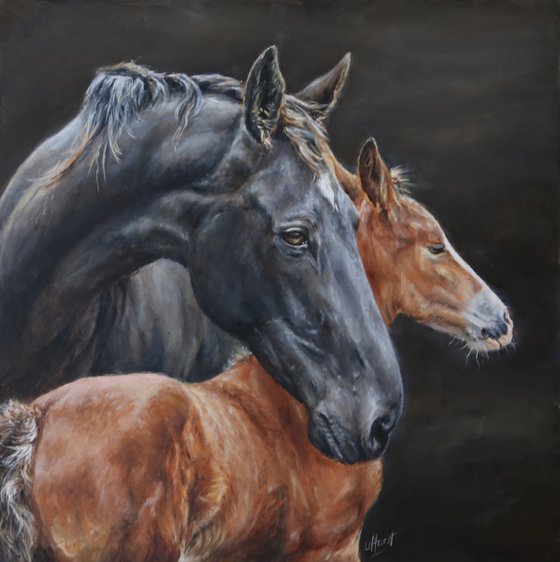 Horse (mare) and foal, equine, equestrian