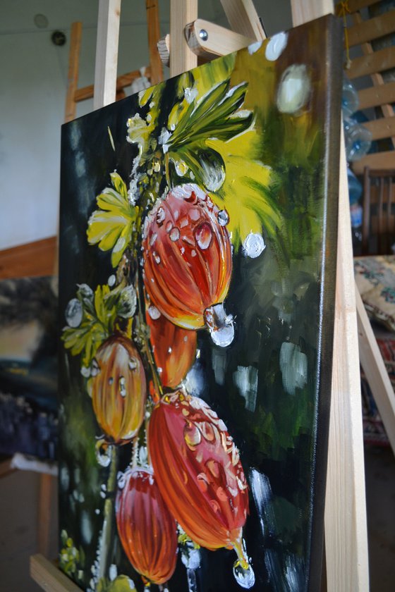 Gooseberry Lanterns