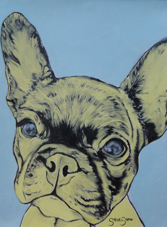 Yellow Frenchie ( oil on paper )