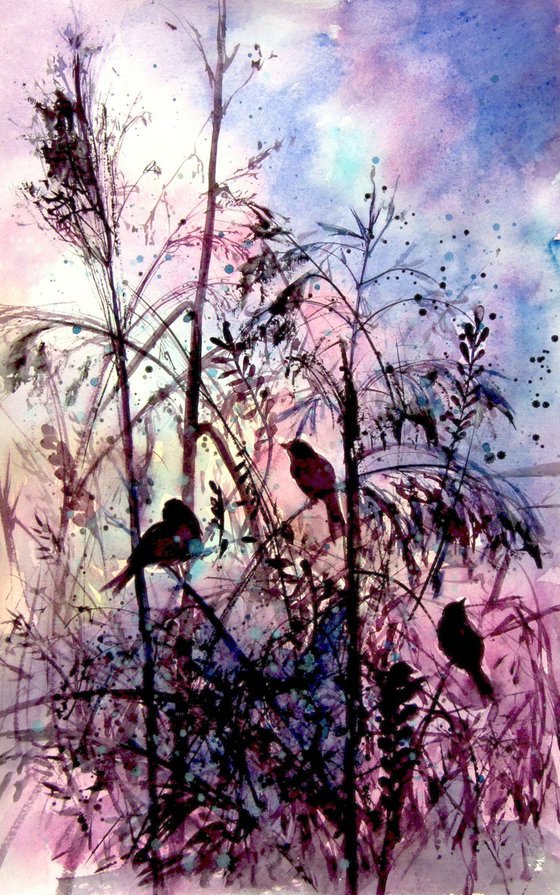 Birds at night