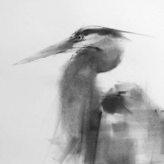 Great Blue Heron 5th Edition