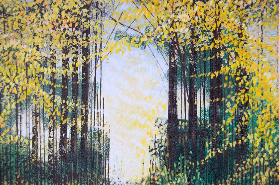 Sunlight Through Autumn Trees