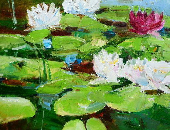 "Water Lilies  "