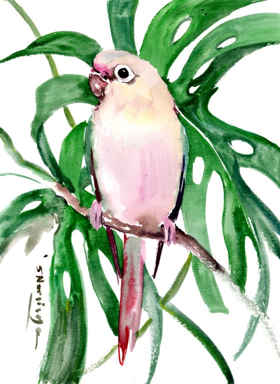 Pineapple Conure Parakeet, Parrot painting