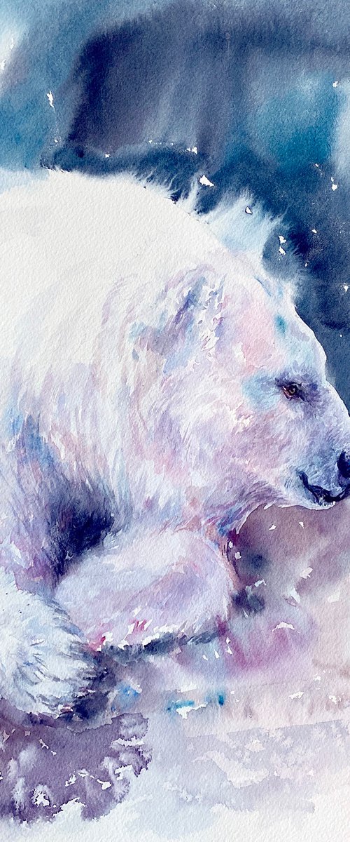 A Blue Winter_ Polar Bear by Arti Chauhan
