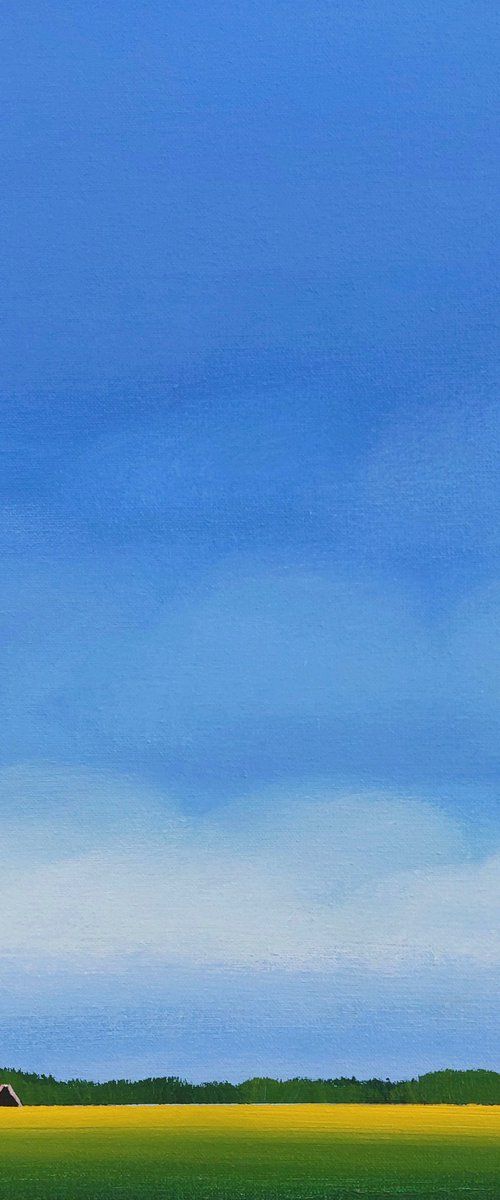 Red roofs, golden daffodils (March) by Nelly van Nieuwenhuijzen