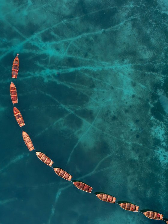 THE BOAT SNAKE