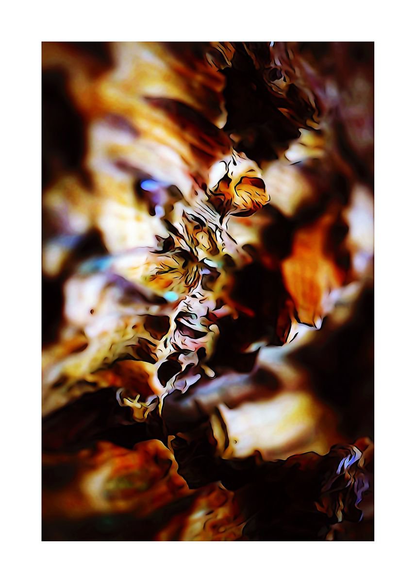 Abstract & Illustratieve Nature Photography 01 (LIMITED EDITION OF 15) by Richard Vloemans