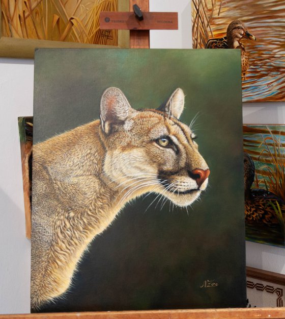 Cougar's Gaze / Silent Guardian