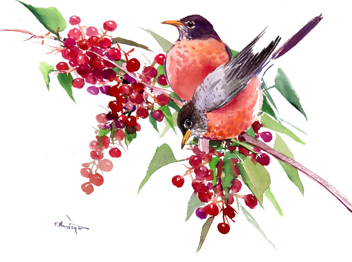 American Robin Birds and berries by Suren Nersisyan