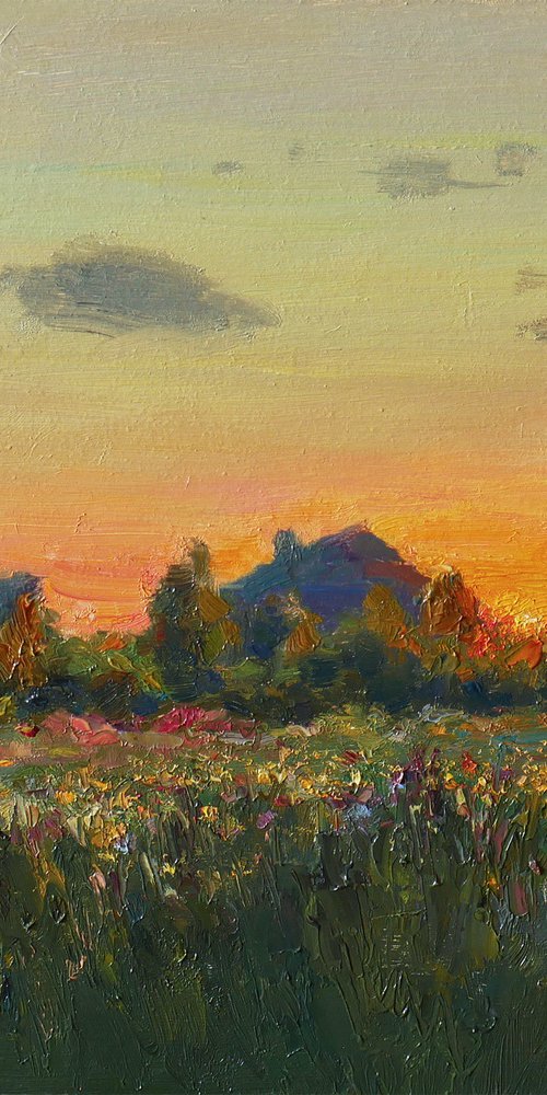 Sunset Over The Meadow by Nikolay Dmitriev