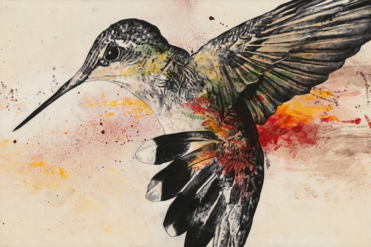 The Revelator | hummingbird realistic pencil drawing | flying bird illustration by Marco Paludet