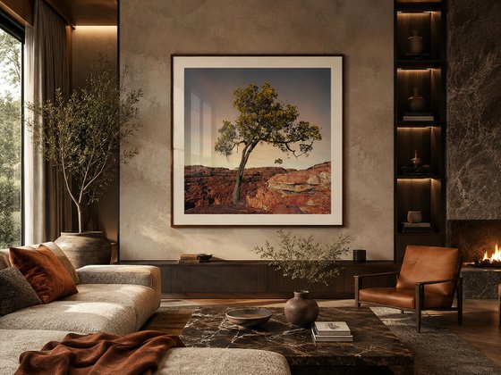 Rustic Canyon