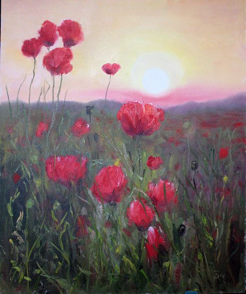 Poppy field by Salana Art Gallery
