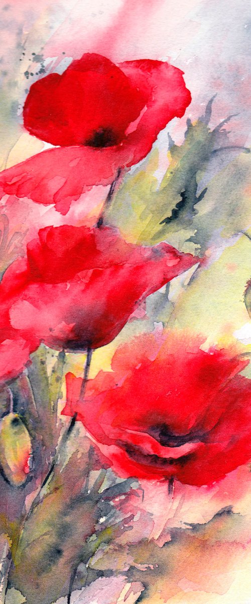 Poppy by Anjana Cawdell