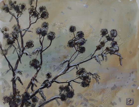 The long winter.Burdock.