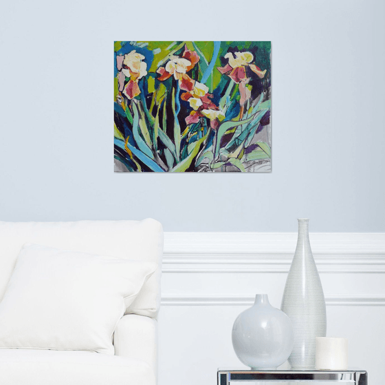 Irises, evening time