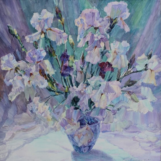 Irises from my garden