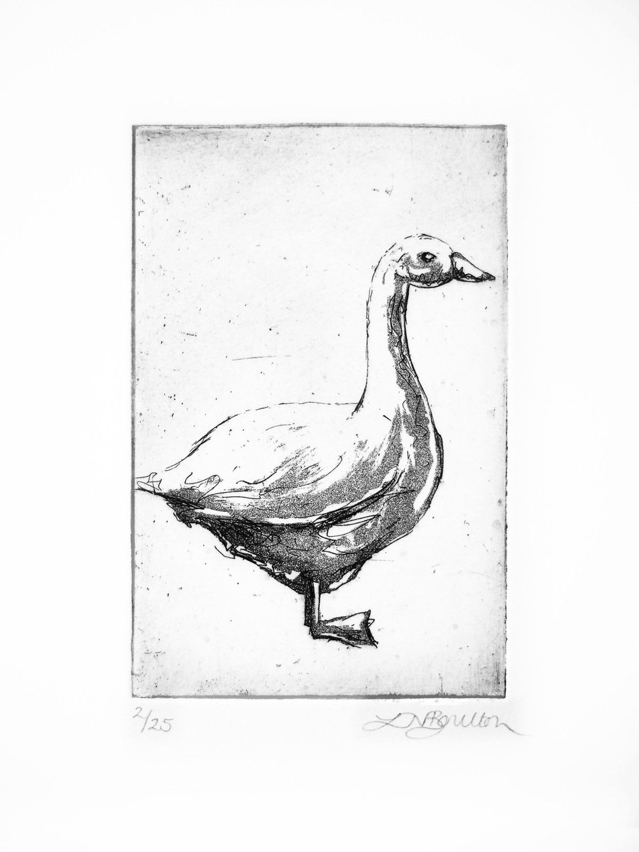 Illustrative Animal Etchings & Engravings By Louise Boulton, 7 X 9", Goose, Original Artwork