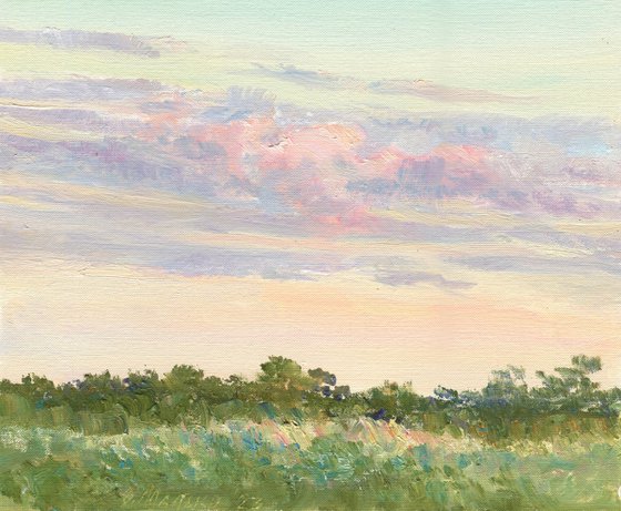 A small pink cloud / ORIGINAL oil painting. Plain air summer landscape ~11x10in (30x25cm)