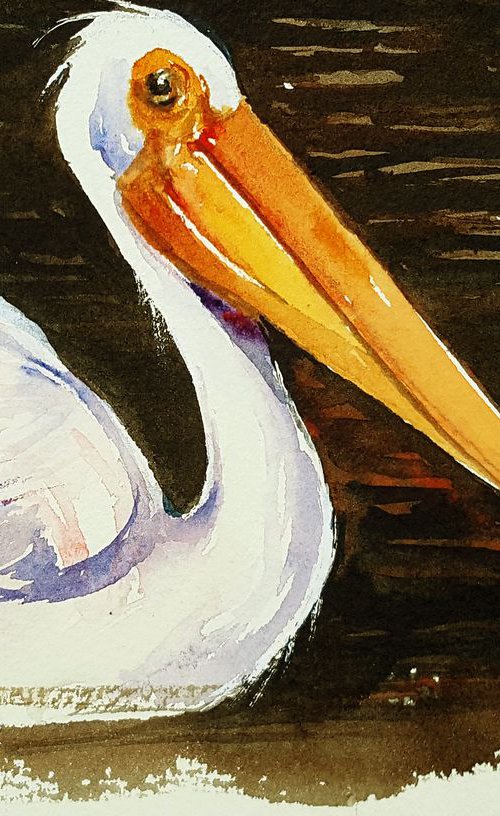 White Pelican by Arti Chauhan