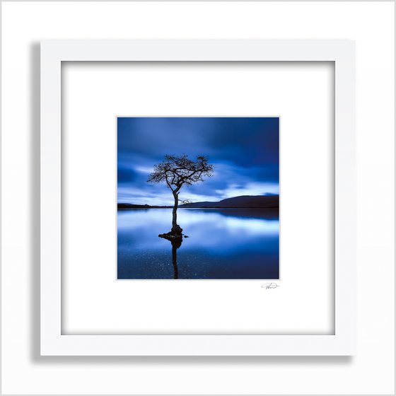Day is Blue - Mounted Print