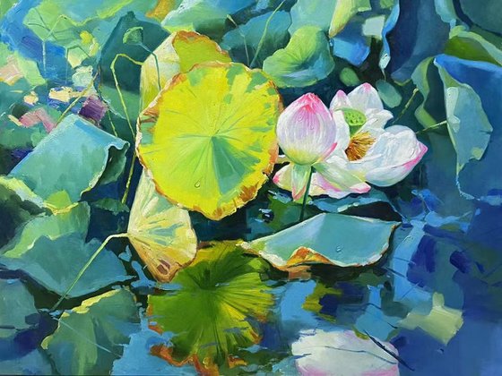 Still life oil painting:Lotus