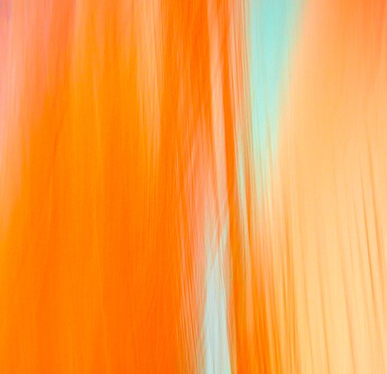 JOY - Orange and Blue Abstract Panoramic