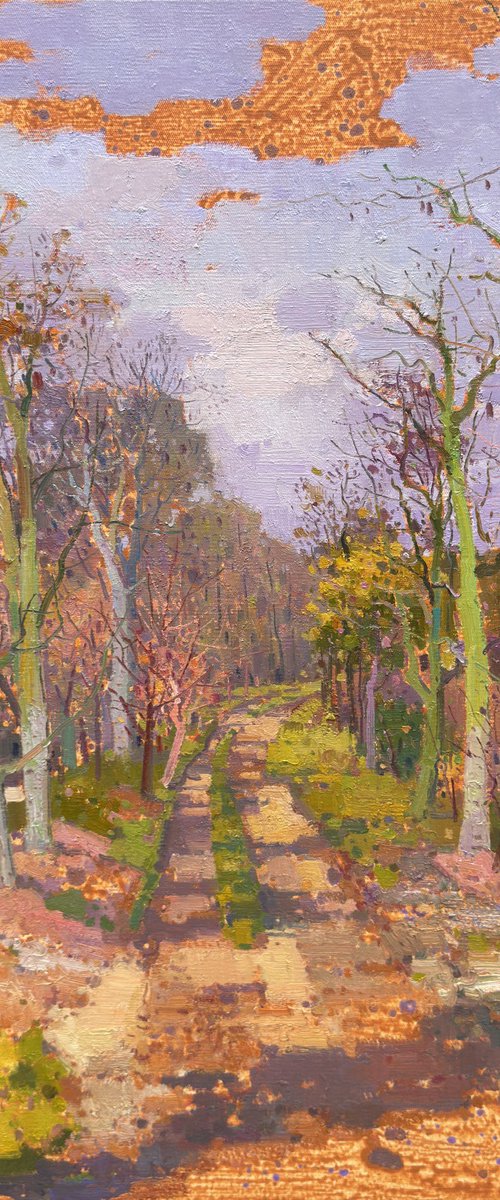 Birch trees forrest 237 by jianzhe chon