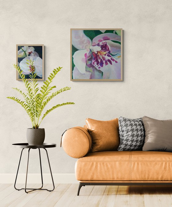 White Bloom IV –Orchid