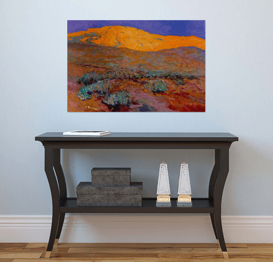 Sunset in the Desert. Arizona