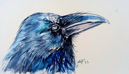 Crow portrait by Kovács Anna Brigitta