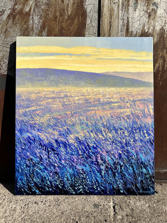 Field at Sunrise III 70x80cm