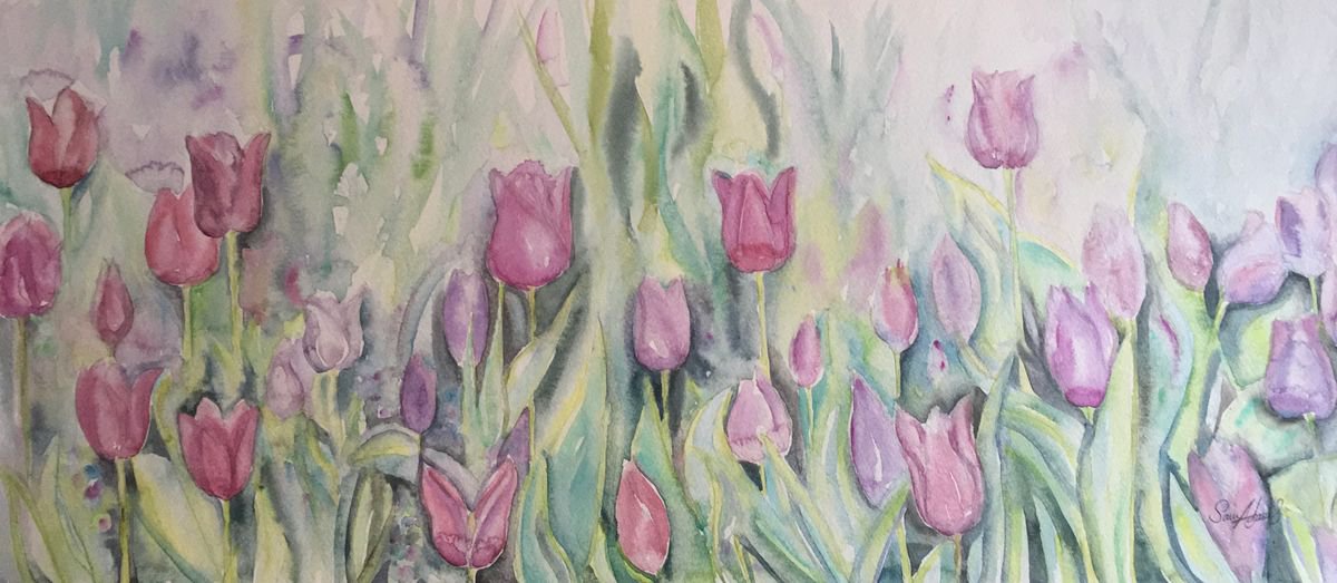 Tulips by Samantha Adams