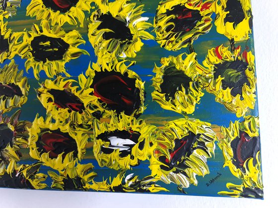 Blooming sunflowers 4