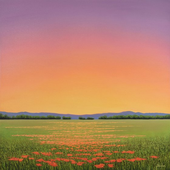Vibrant Poppy Field
