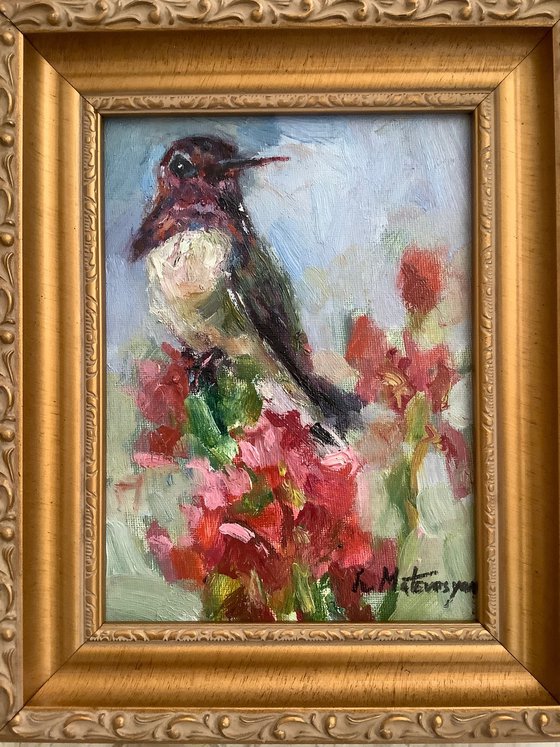 Hummingbird