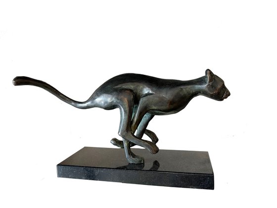 Cheetah